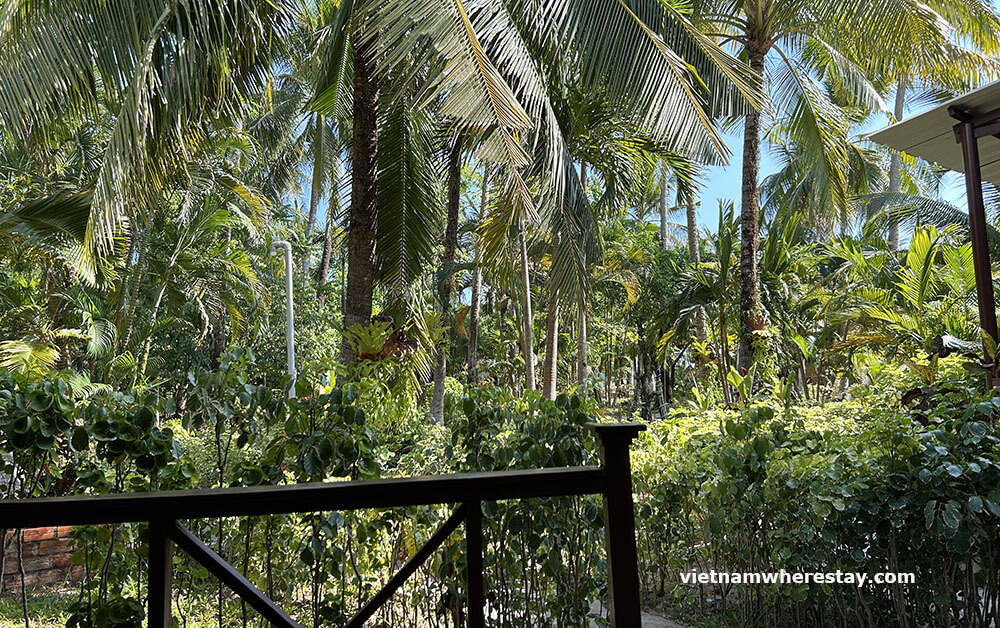 Garden at Sea Star Phu Quoc