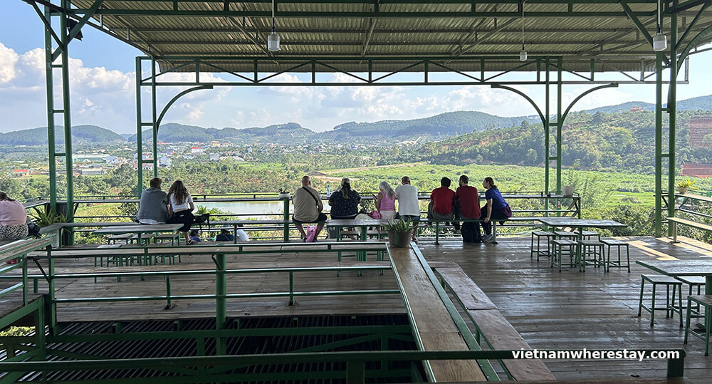 Me Linh coffee plantation