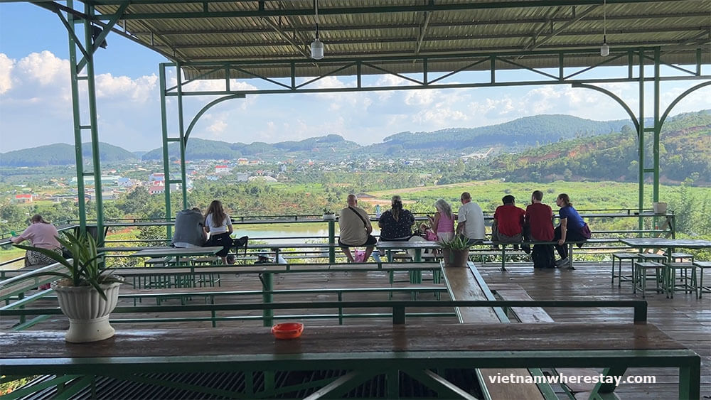A coffee plantation in Da Lat