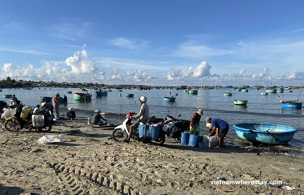 Mui Ne fishing harbor and market