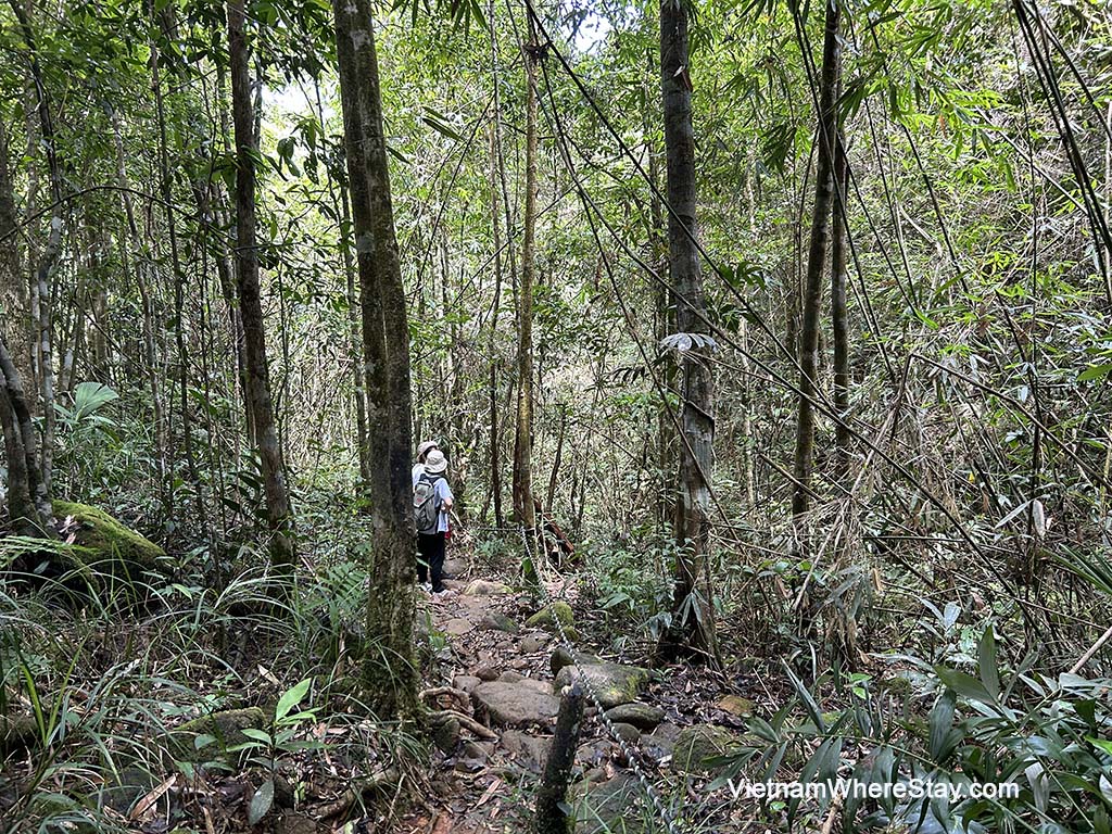 Bach Ma National Park