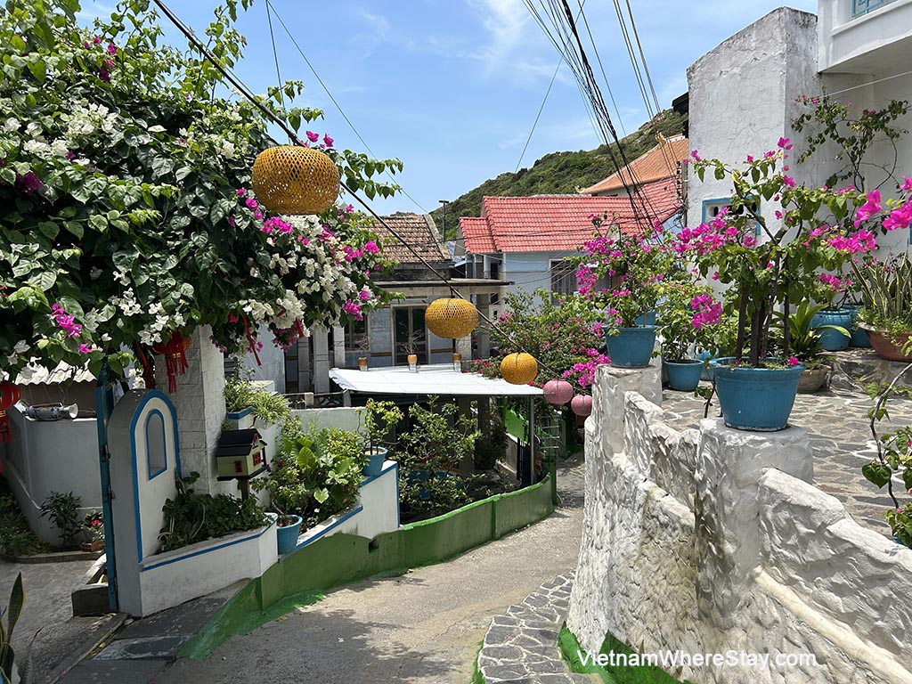 Quy Nhon vs Phu Quoc