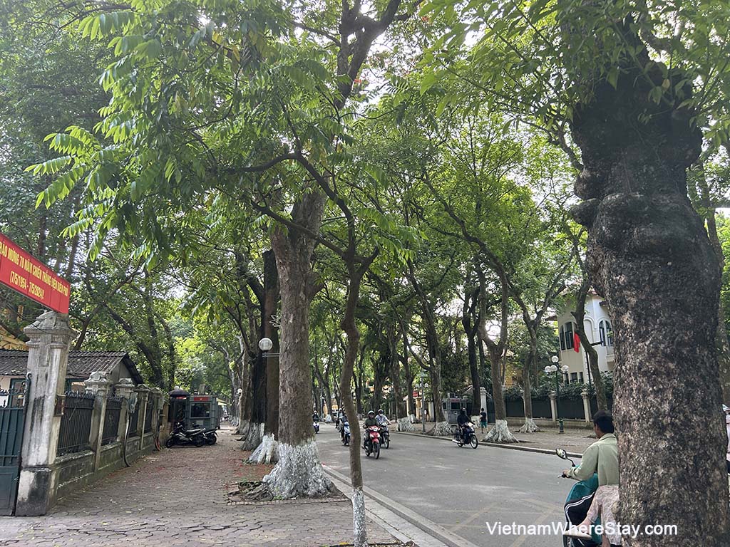 Phan Dinh Phung street