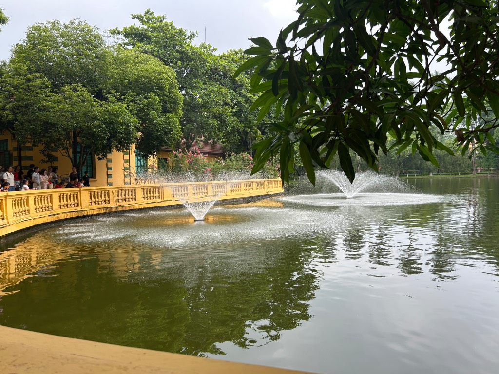 Fish Pond next to House 54