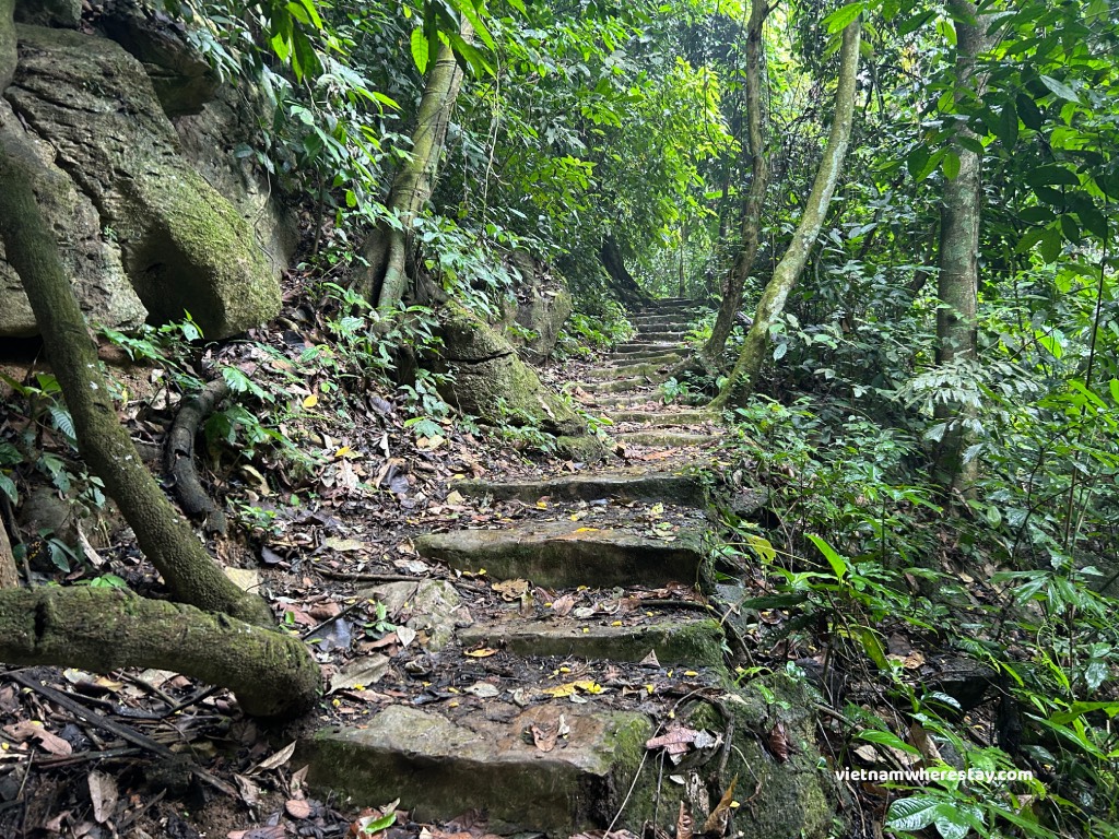 The stair along the 7km trail
