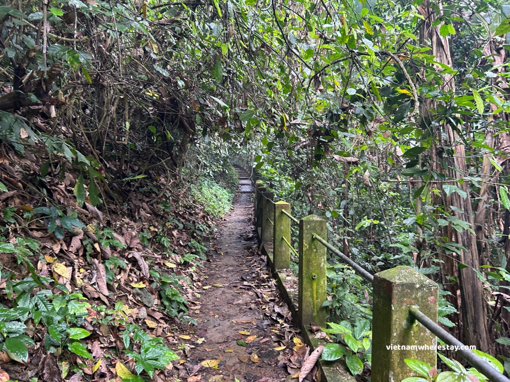 The trail with rail along the 7km path