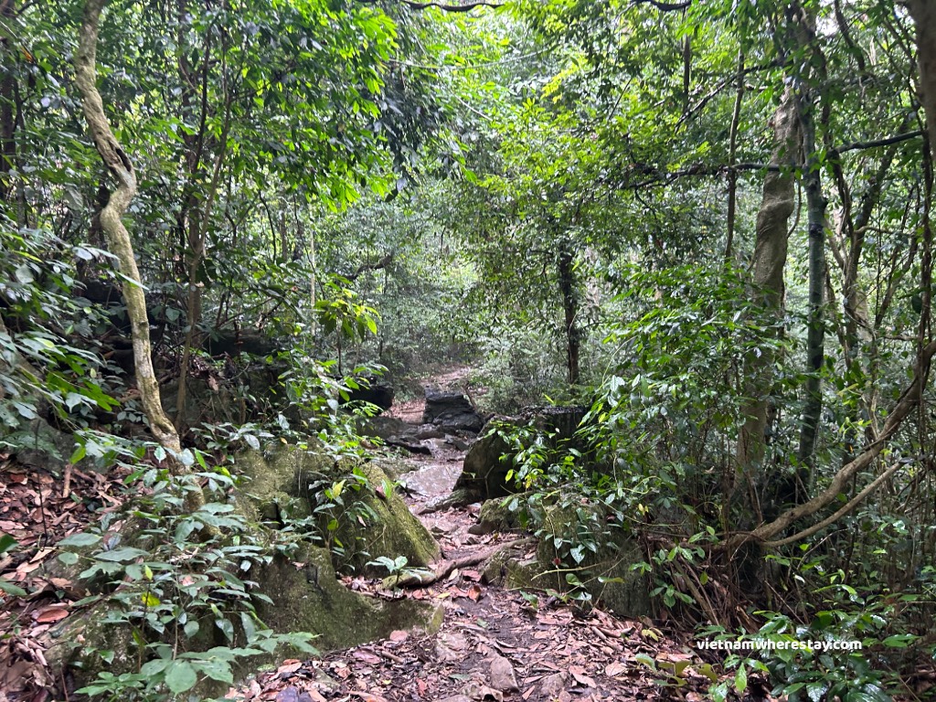 7km trail