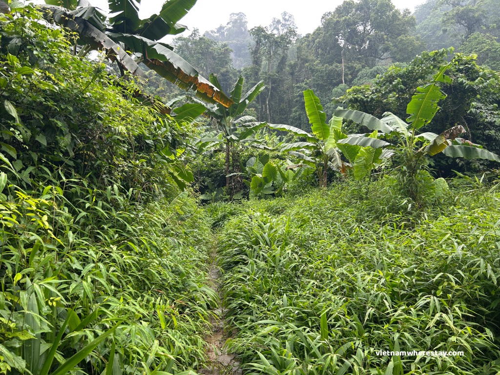 7km trail