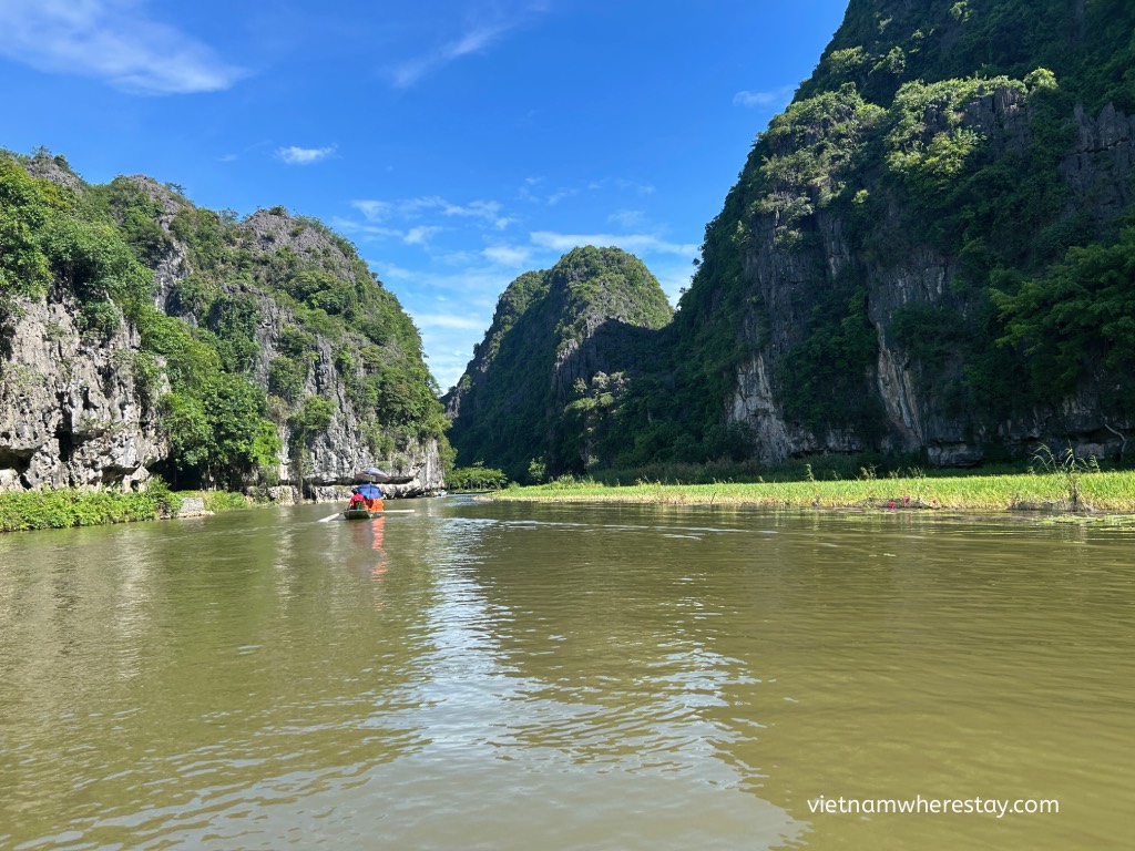 water lilies on Tam Coc River