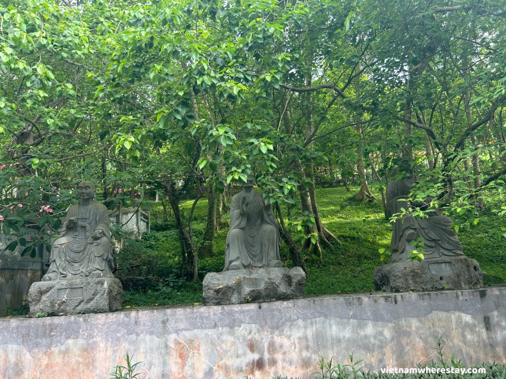 Wishing trees Bai Dinh